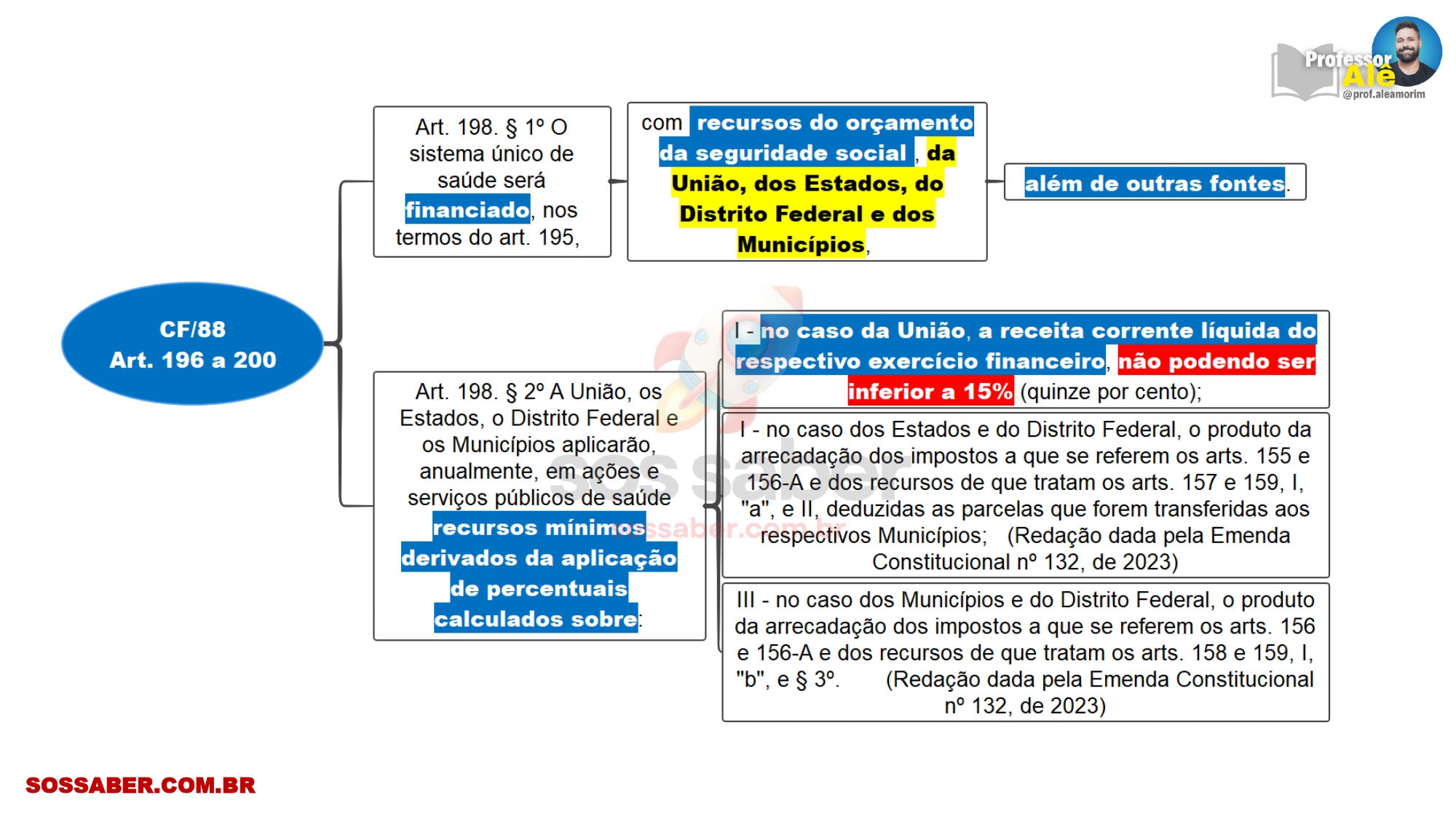 Mapas Mentais da Constituição Federal 1988 - Art 196 a 200 (Atualizado 2026) - Imagem 3