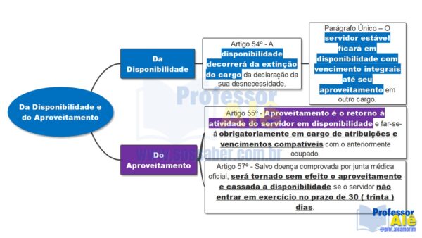 Mapas Mentais de Legislação Municipal de Arraial do Cabo-RJ - Imagem 8