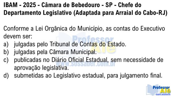 Mapas Mentais de Legislação Municipal de Arraial do Cabo-RJ - Imagem 3