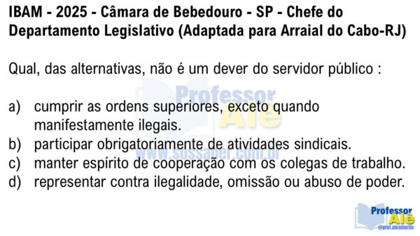 Mapas Mentais de Legislação Municipal de Arraial do Cabo-RJ - Imagem 6