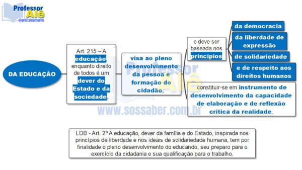 Mapas Mentais de Legislação Municipal de Arraial do Cabo-RJ - Imagem 5