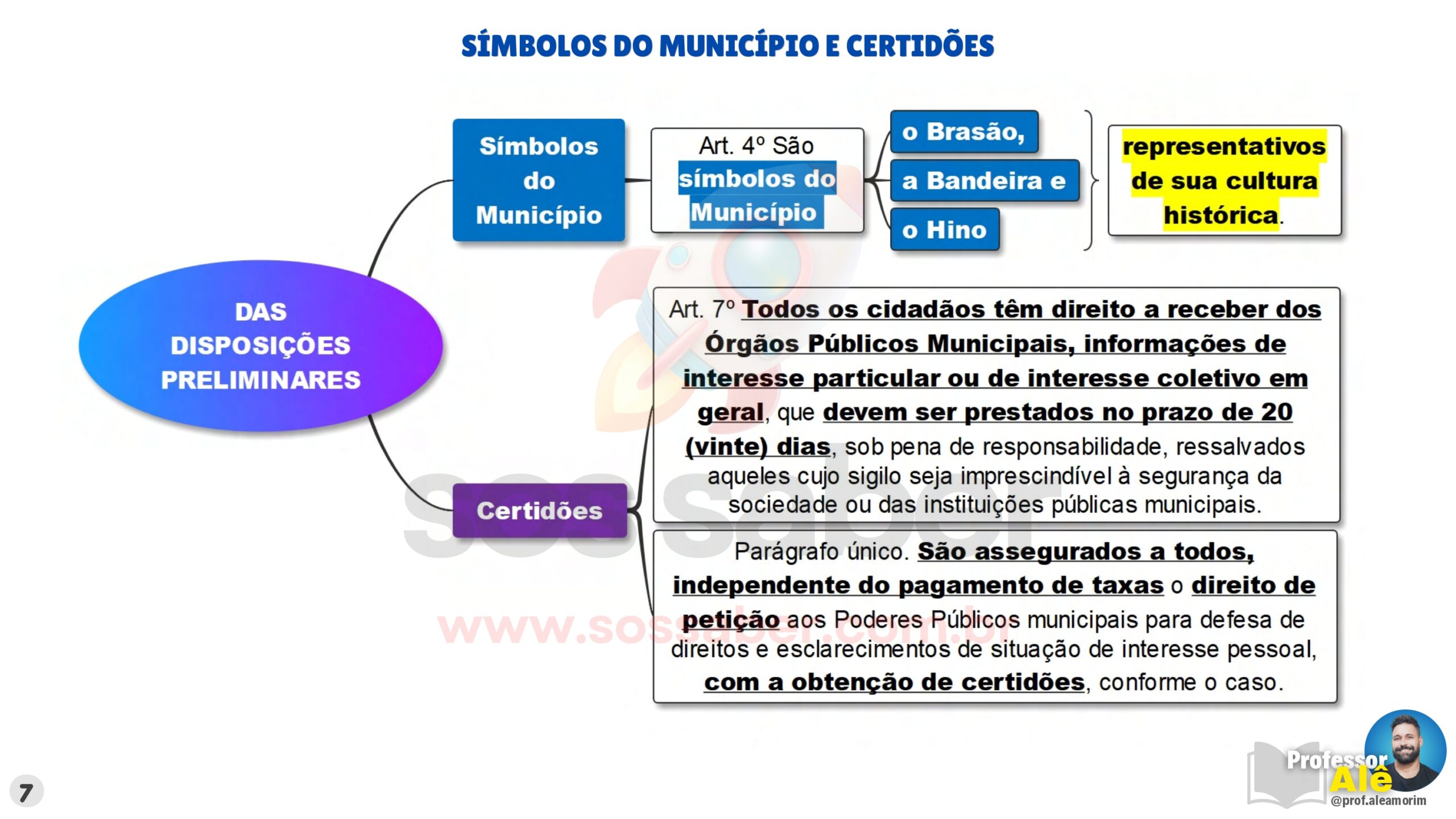 MAPAS MENTAIS - LOM DE RIO DAS OSTRAS 2026 - Professor Alê_page-0007
