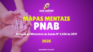 Mapas Mentais PNAB (2026) v1