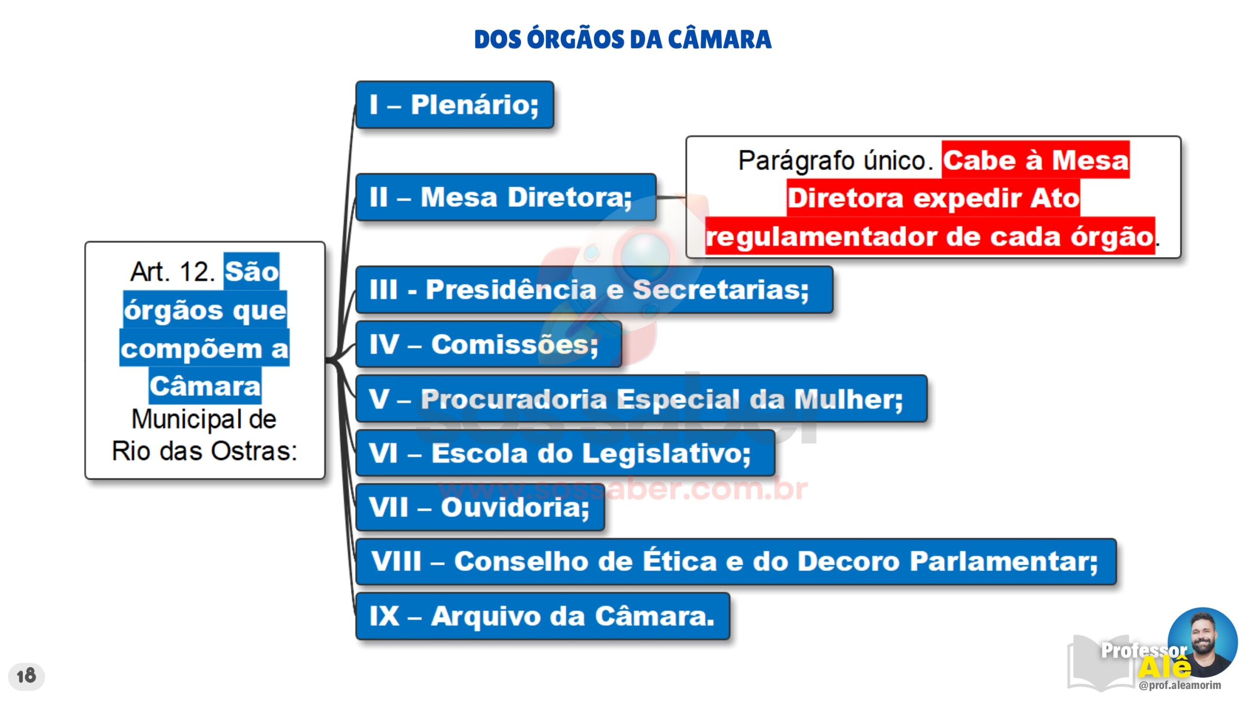 MAPAS MENTAIS - REGIMENTO INTERNO DE RIO DAS OSTRAS 2026 v1_page-0018