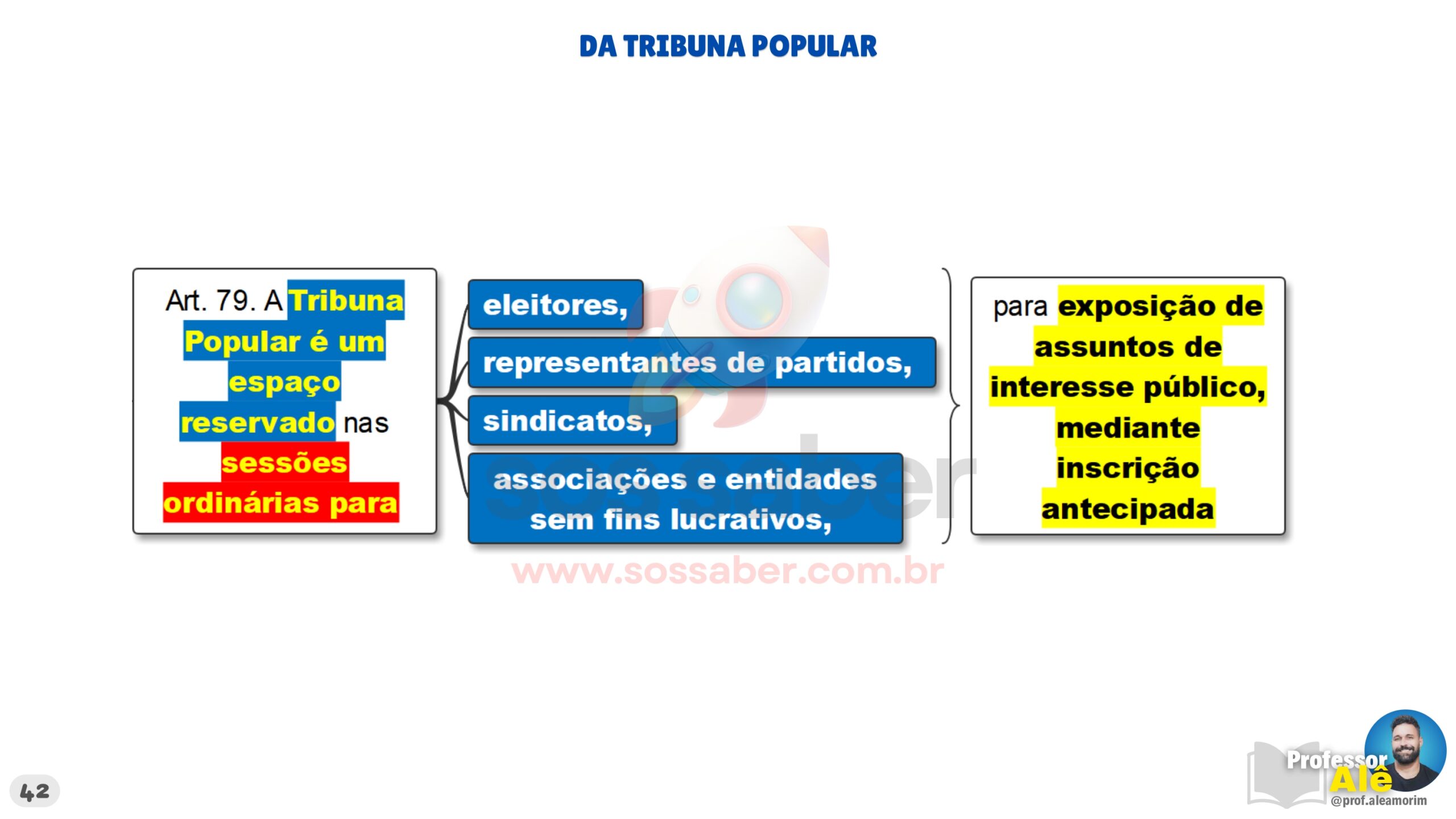 MAPAS MENTAIS - REGIMENTO INTERNO DE RIO DAS OSTRAS 2026 v1_page-0042