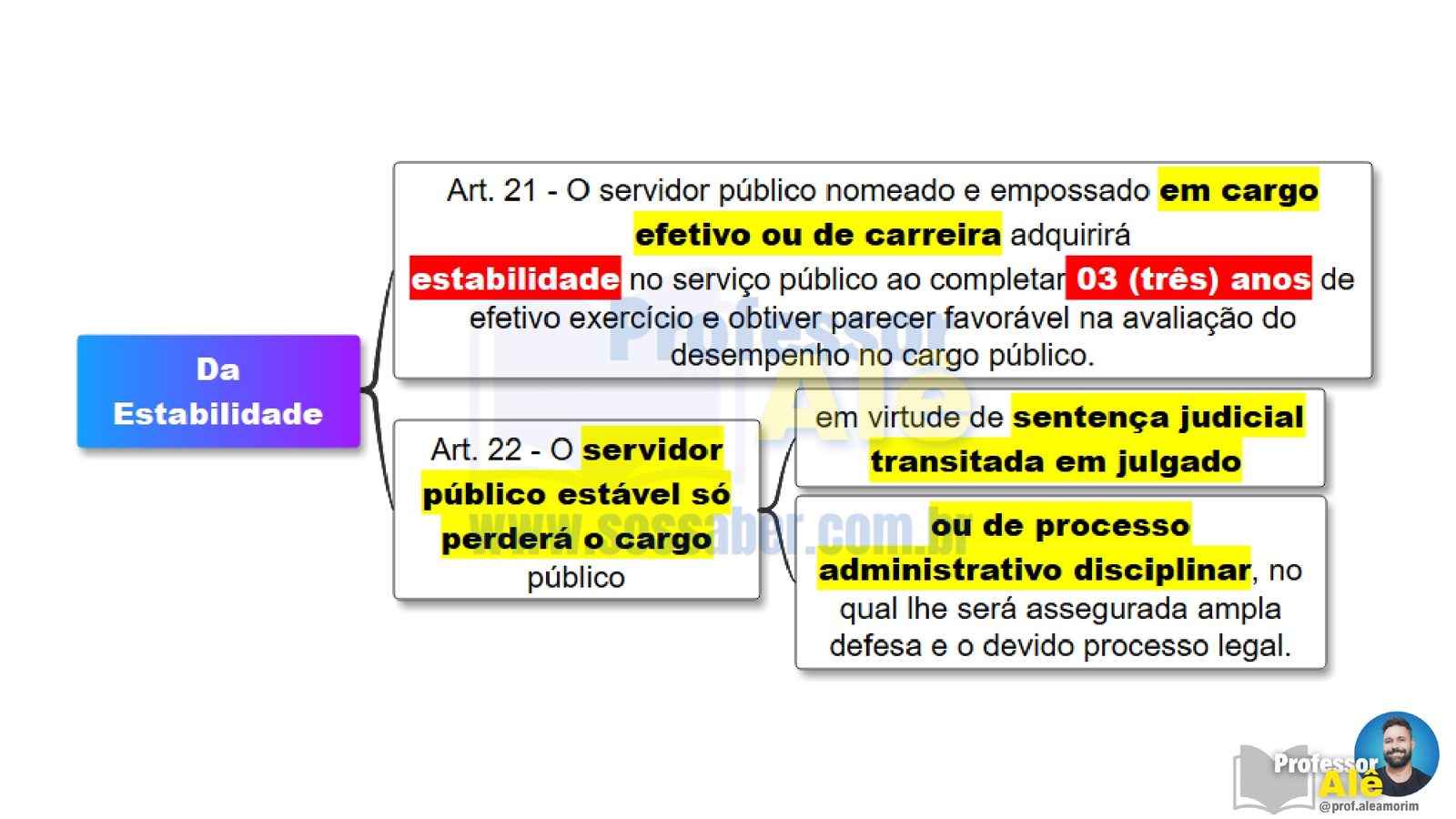 Estatuto dos Servidores de Queimados-RJ (2026) - Slides das videoaulas - Imagem 3
