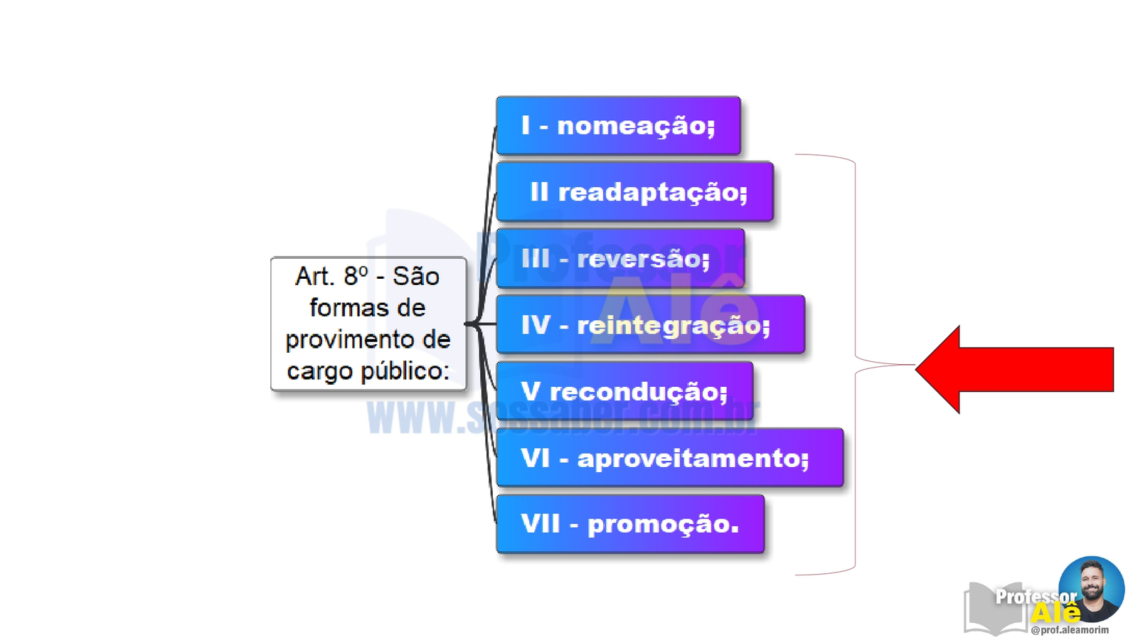 Estatuto dos Servidores de Queimados-RJ (2026) - Slides das videoaulas - Imagem 4